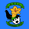 NDSL logo